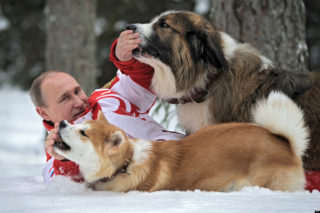 President Putin and his dogs Yume, an Akito-Inu, front, and Buffy, a Bulgarian Shepherd