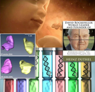 Fetal gland extracts extend the lifespan for those centenarians who've had 6 heart transplants. "We are on the verge of a global transformation. All we need is the right major crisis and the nations will accept the New World Order." - David Rockefeller speaking at a UN Business Conference, September 1994.