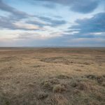 Northern Grasslands – Great Plains 0242_wwf_130510-Edit_hr_-_Rab_Cummings