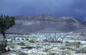 Ash Meadows Nevada