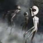 alienagenda cloning gone wrong frail