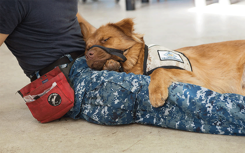 Top-5-Veterans-News-Stories-February-21