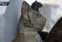 Mummified cats, scarabs, and a 4,500-year-old ‘untouched’ tomb unearthed in Egypt