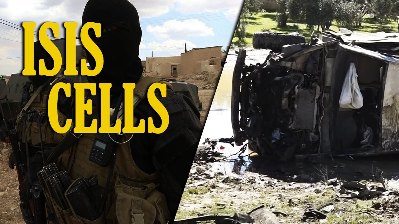 ISIS cells