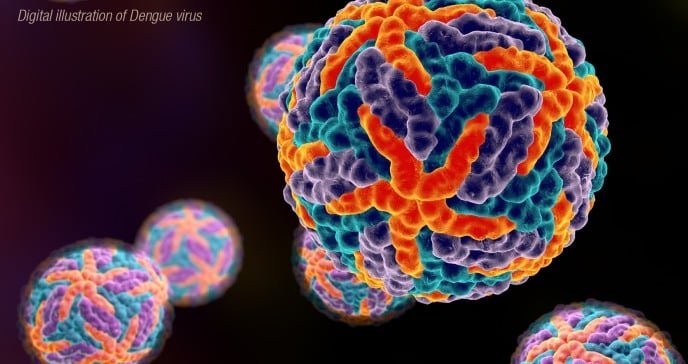 Dengue virus