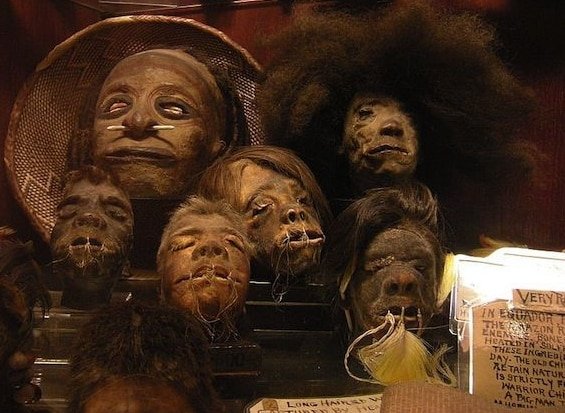 shrunken heads