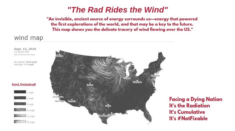 THE RAD RIDES THE WIND