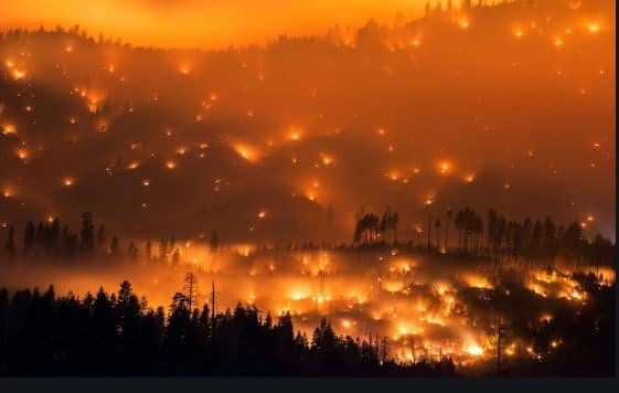 wildfires