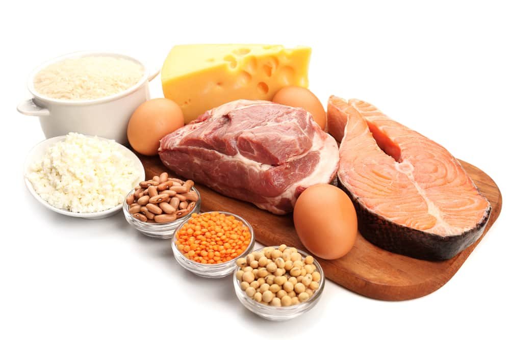 Food high in protein isolated on white