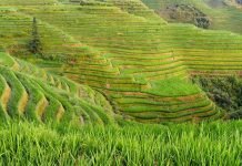 NEO – Is it time to rethink ‘why we fight’, and ‘for whom’?