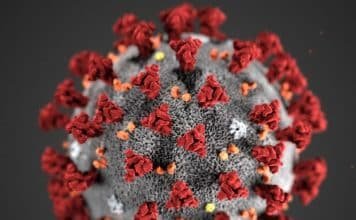 Study: Antibody cocktail by Regeneron cuts COVID-19 death risk by 20%