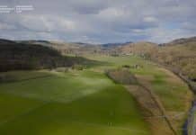 Discovered: Scotland’s First Prehistoric Animal Carvings