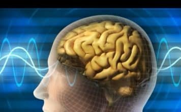 At Death, Does Our Life Flash Before Our Eyes?