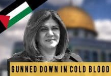 Why did Israel kill Shireen Abu Akleh?