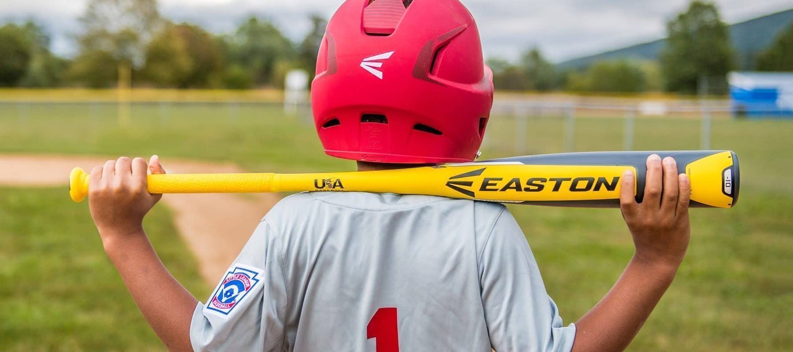 baseball-bats2