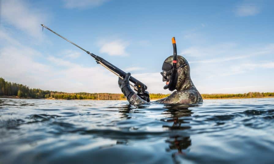 spearfishing2