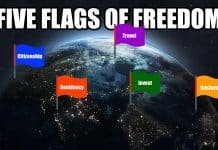 5 Flags of Freedom: A Road Map To Live Relatively Free in Our Un-Free World (2023)