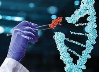 Scientists Sound Alarm as Gates, WEF Promote Gene-Editing Technology for Everything From Fake Meat to Designer Babies