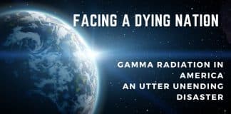 Gamma radiation in America. Facing a dying Nation.
