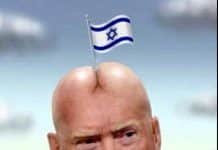 The Soleimani Assassination